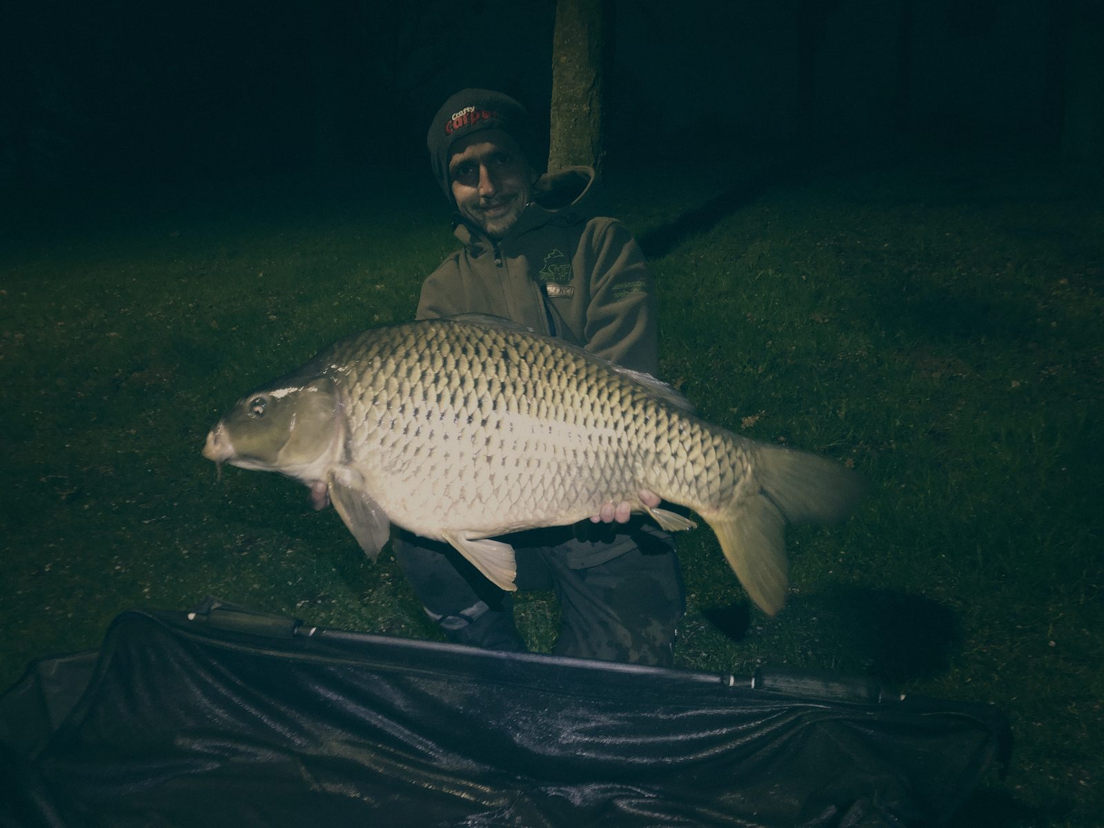Styria Carp