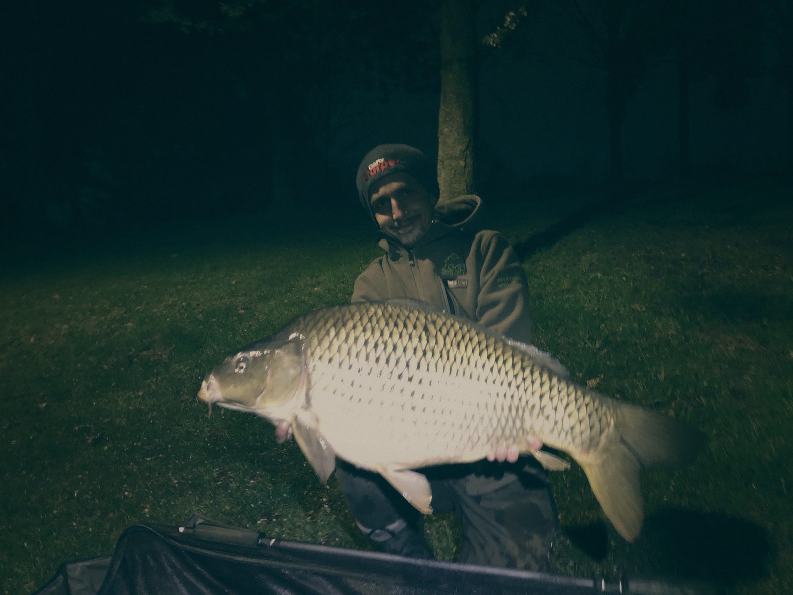 Styria Carp