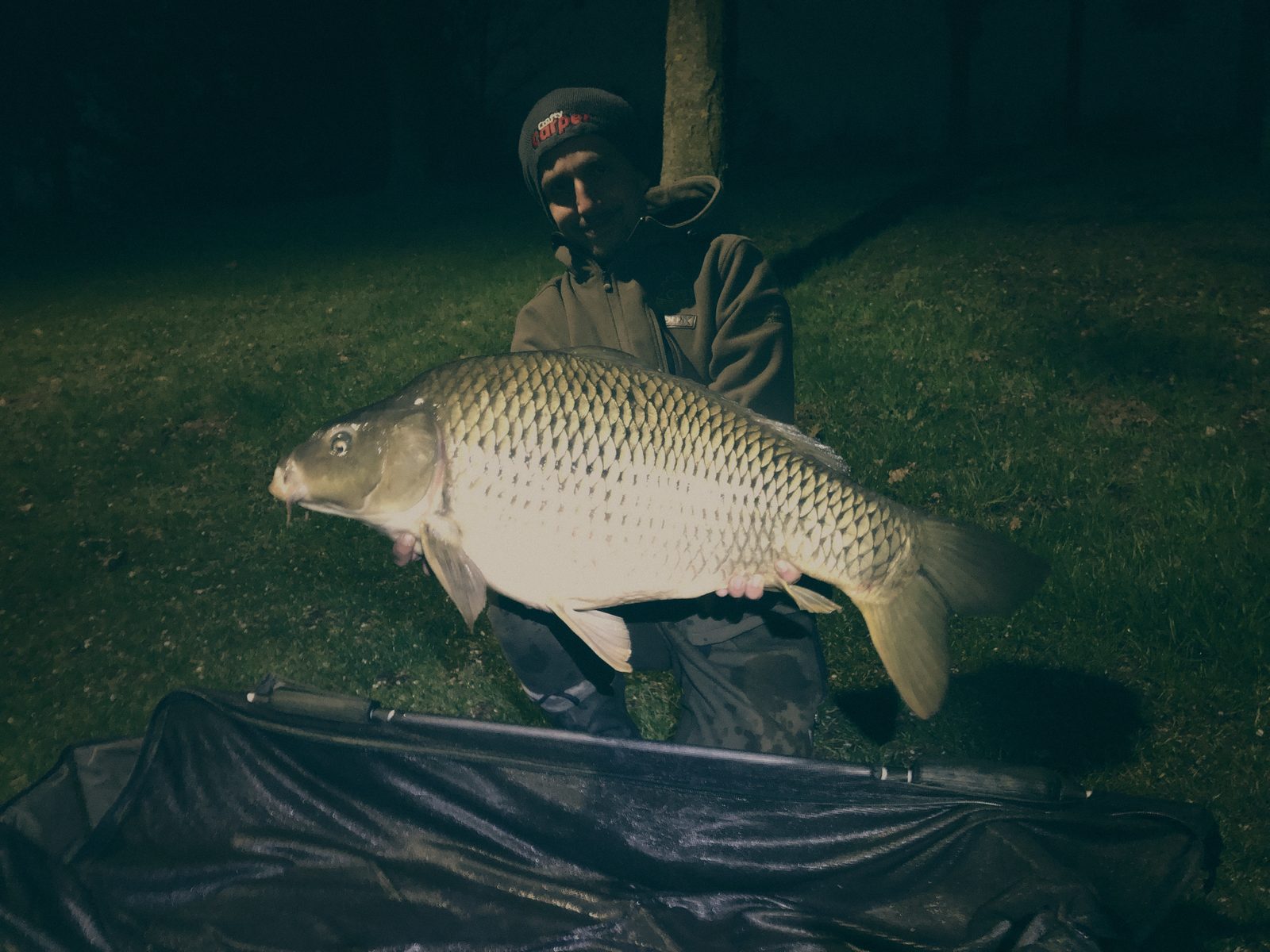 Styria Carp