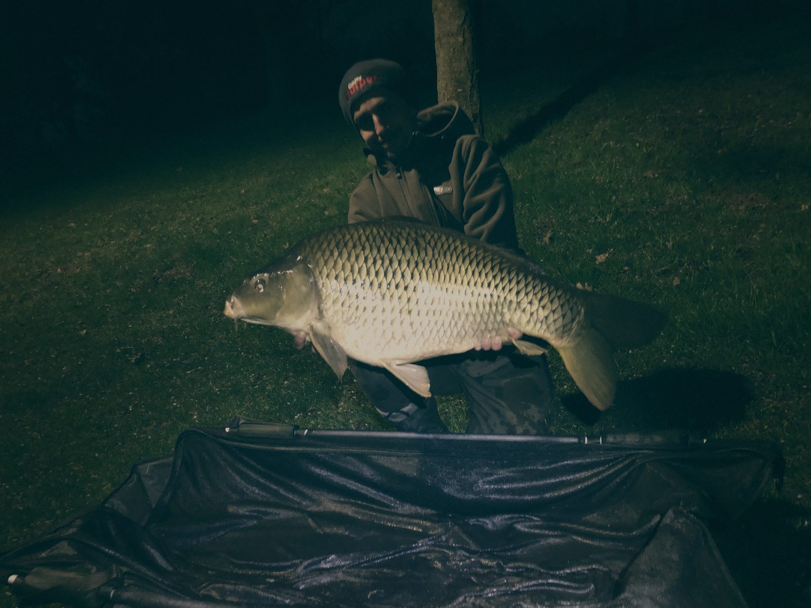 Styria Carp