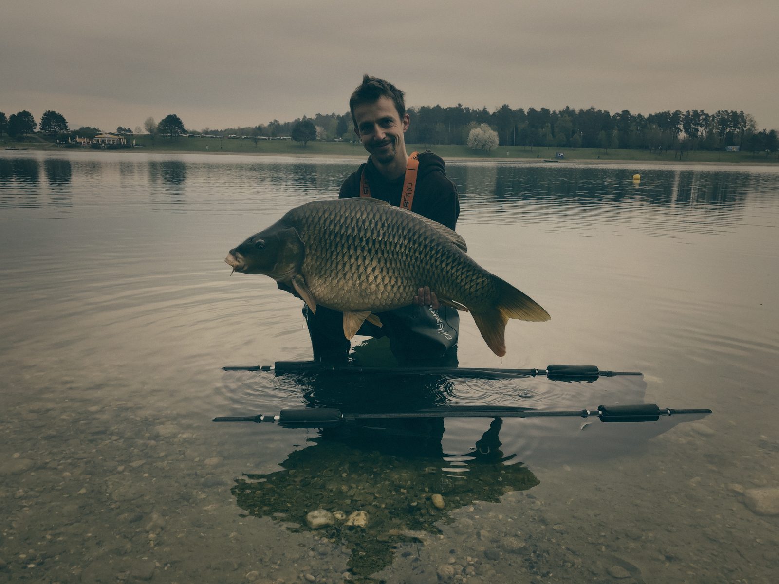 Styria Carp