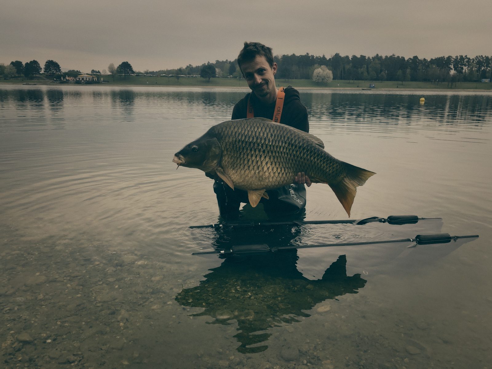 Styria Carp