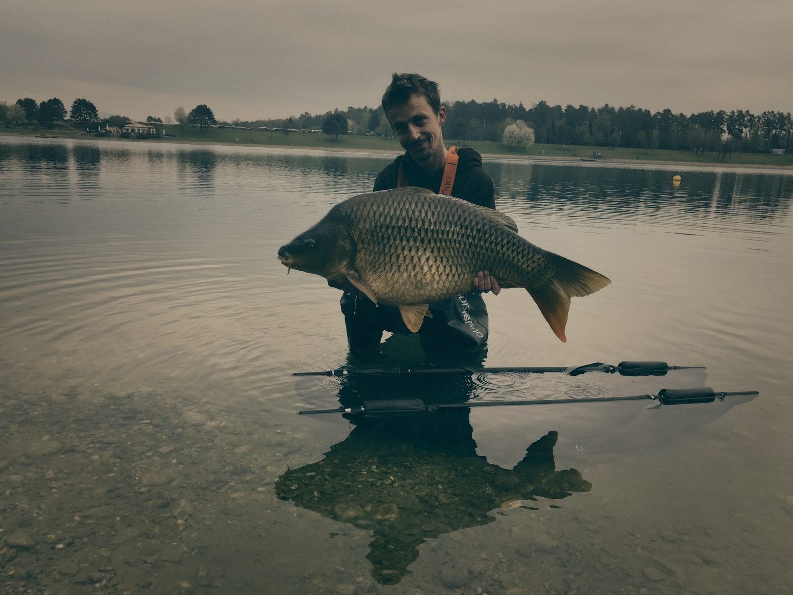 Styria Carp