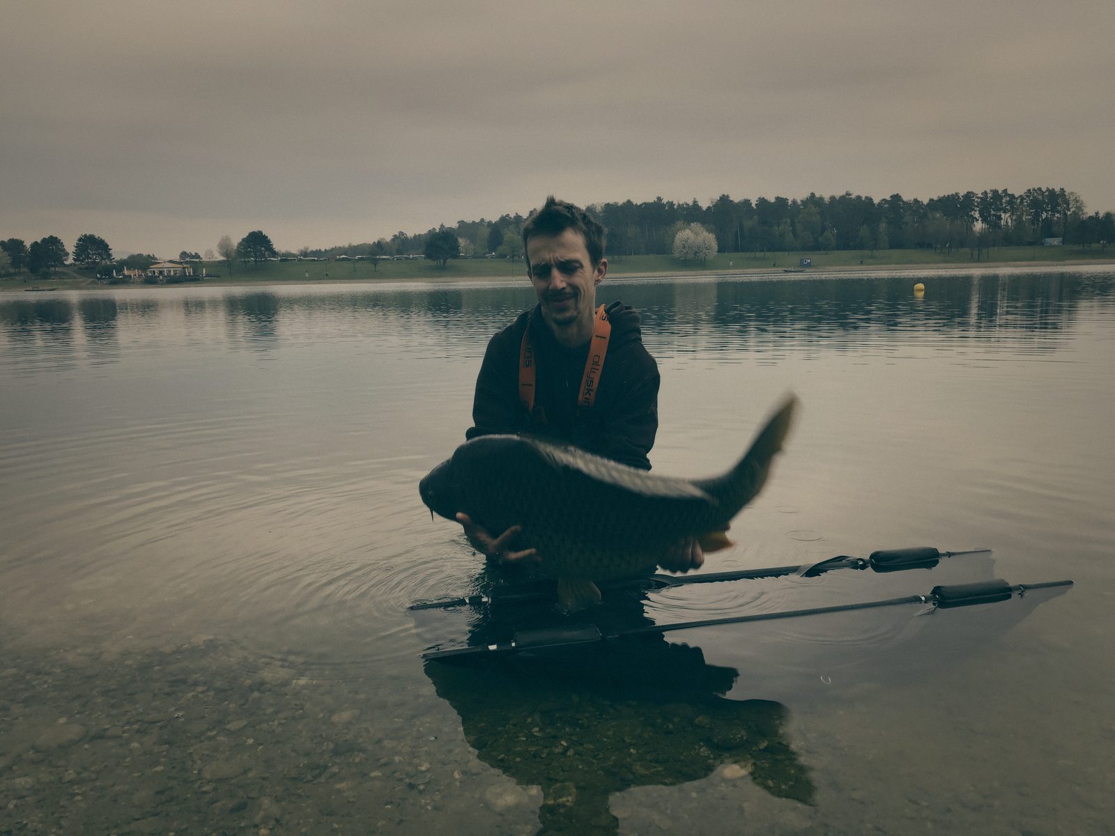 Styria Carp