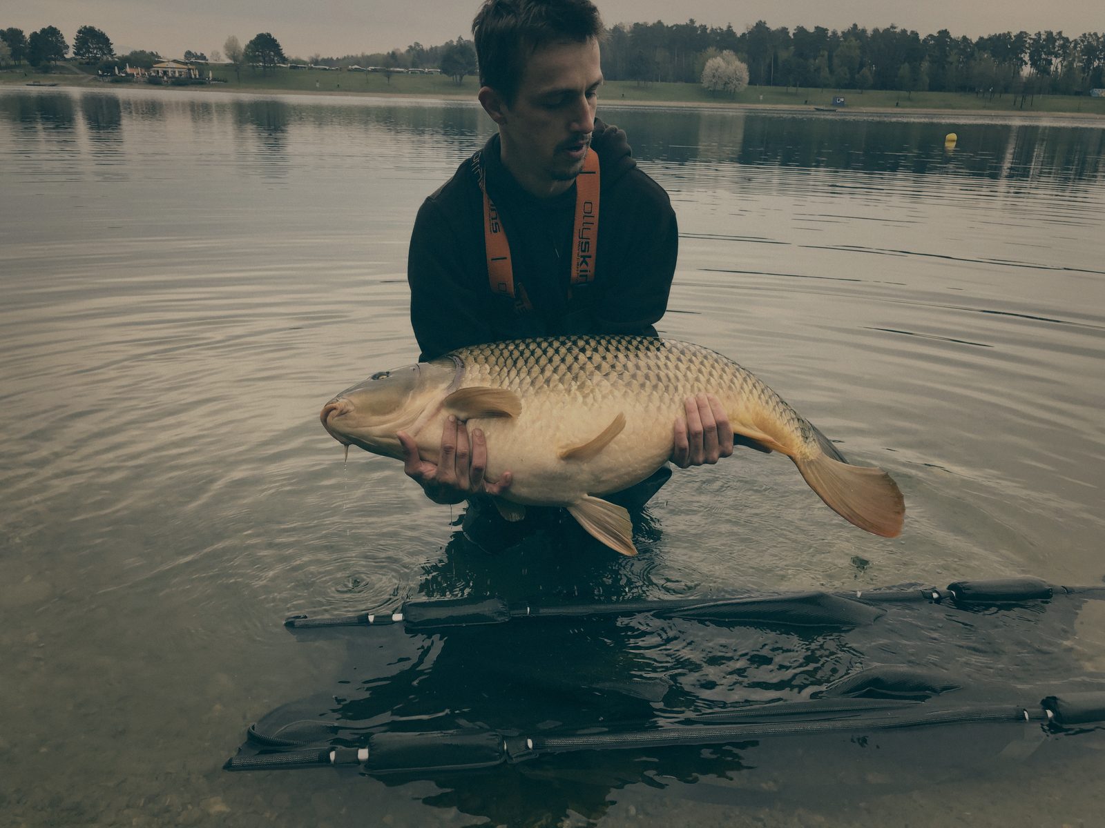 Styria Carp