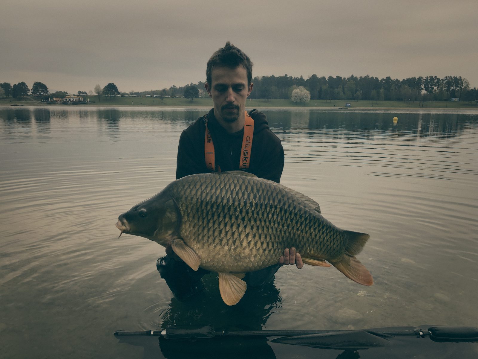 Styria Carp
