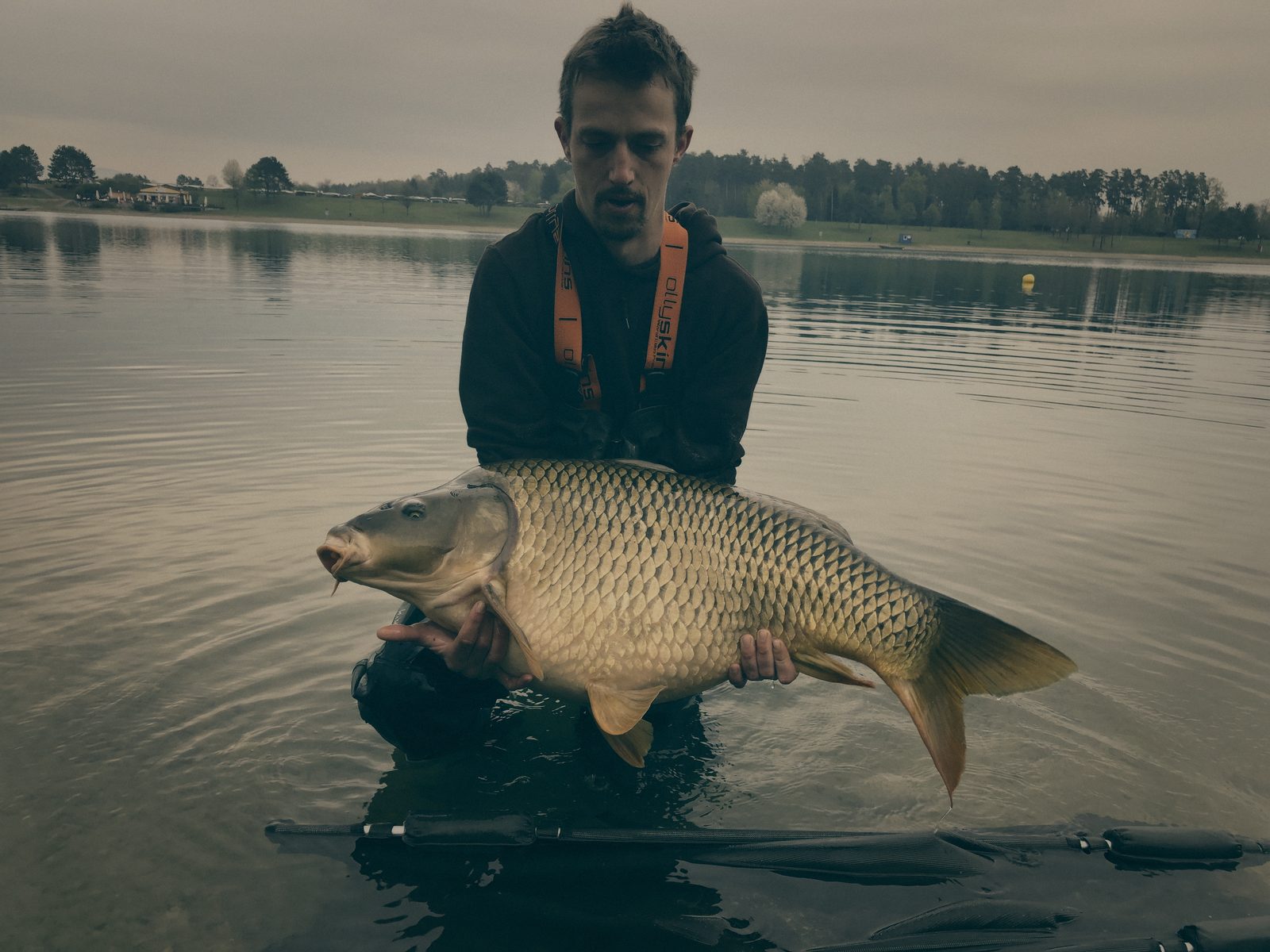 Styria Carp