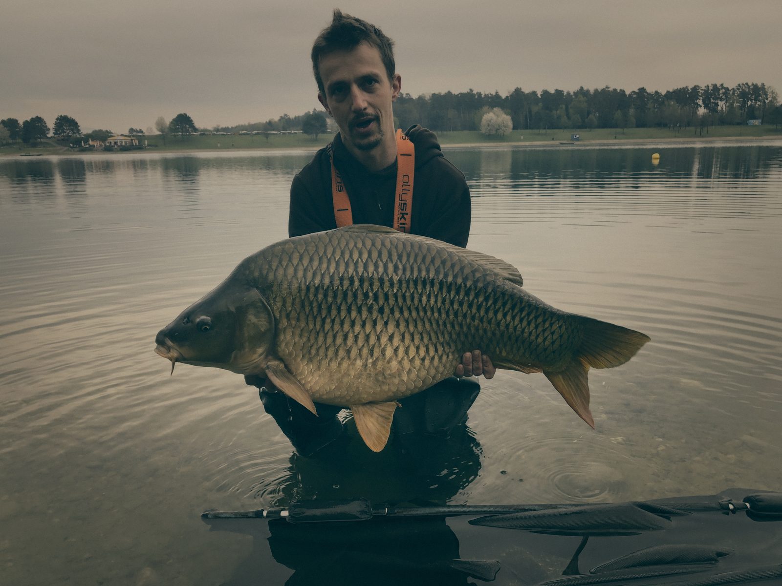 Styria Carp
