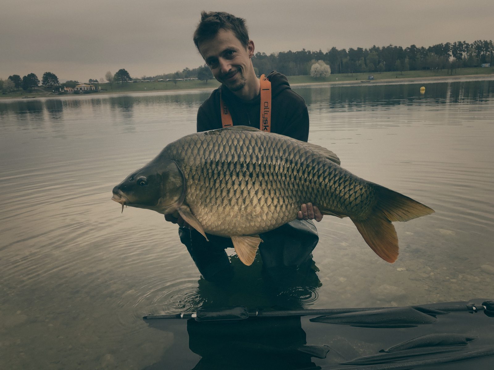 Styria Carp