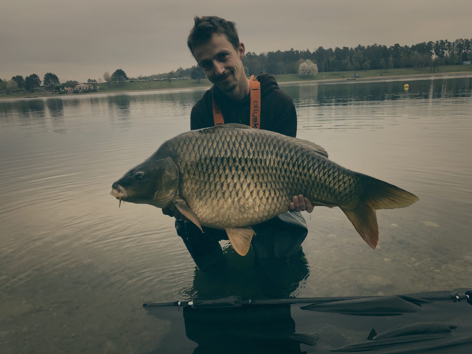 Styria Carp