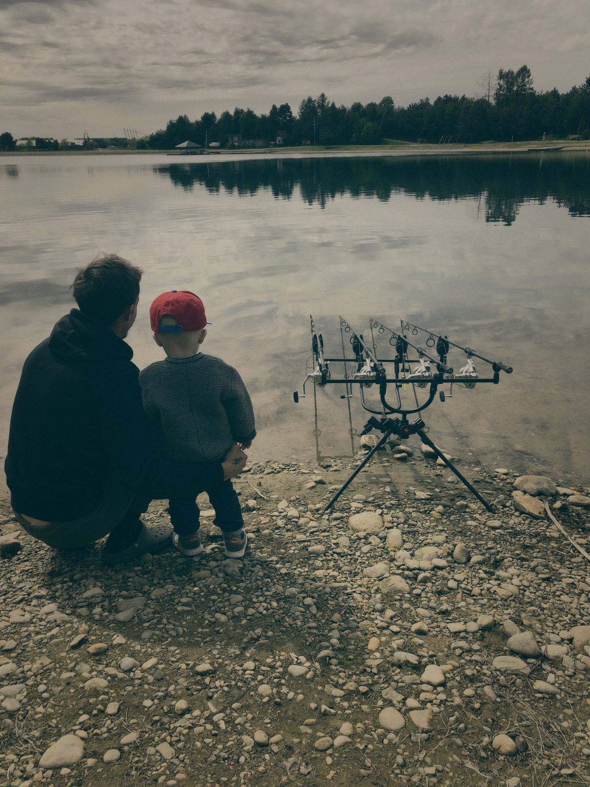 Styria Carp