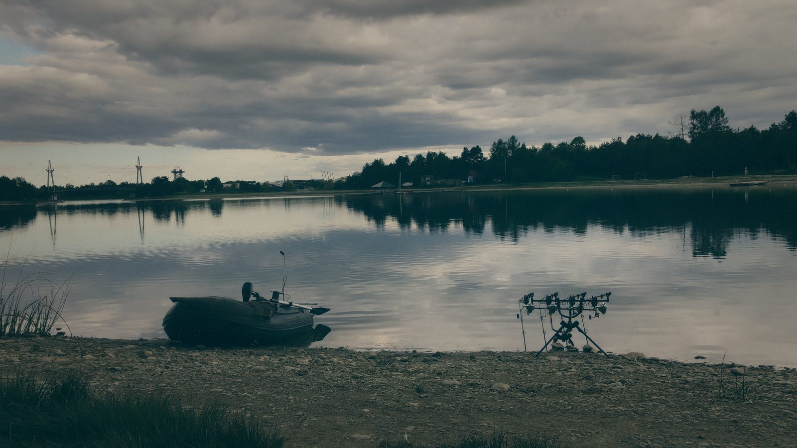Styria Carp