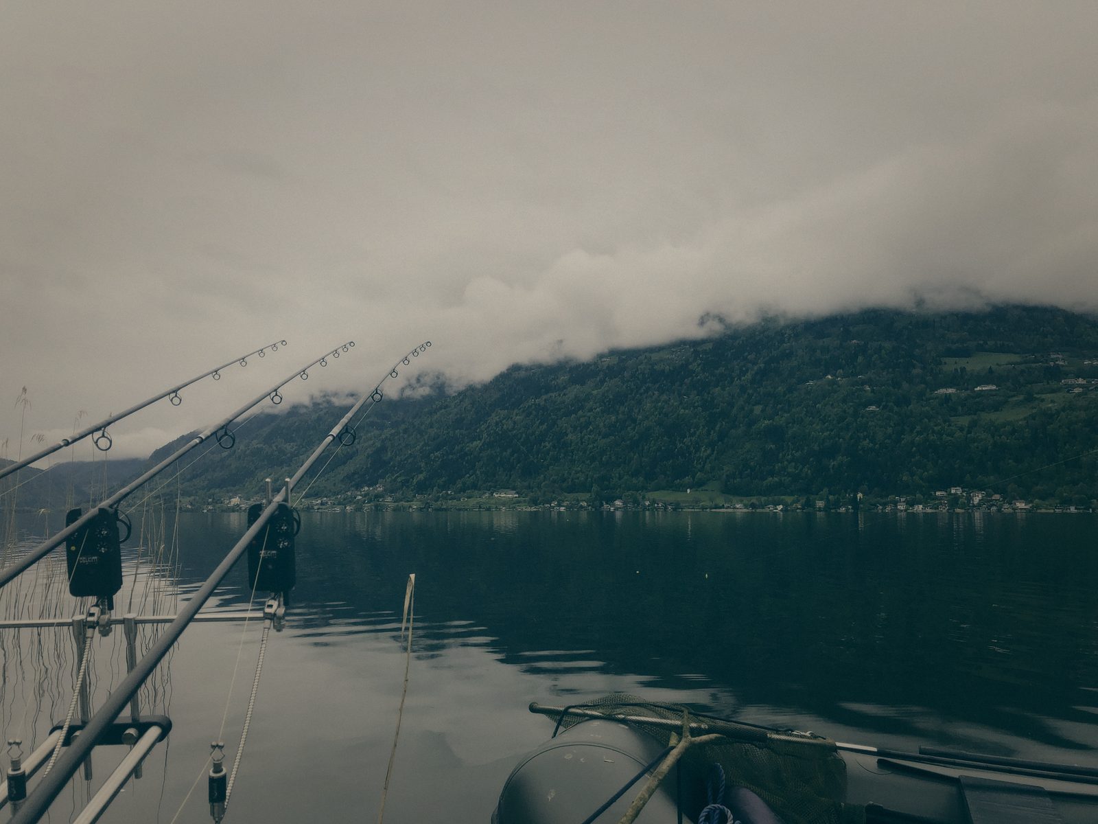 Styria Carp