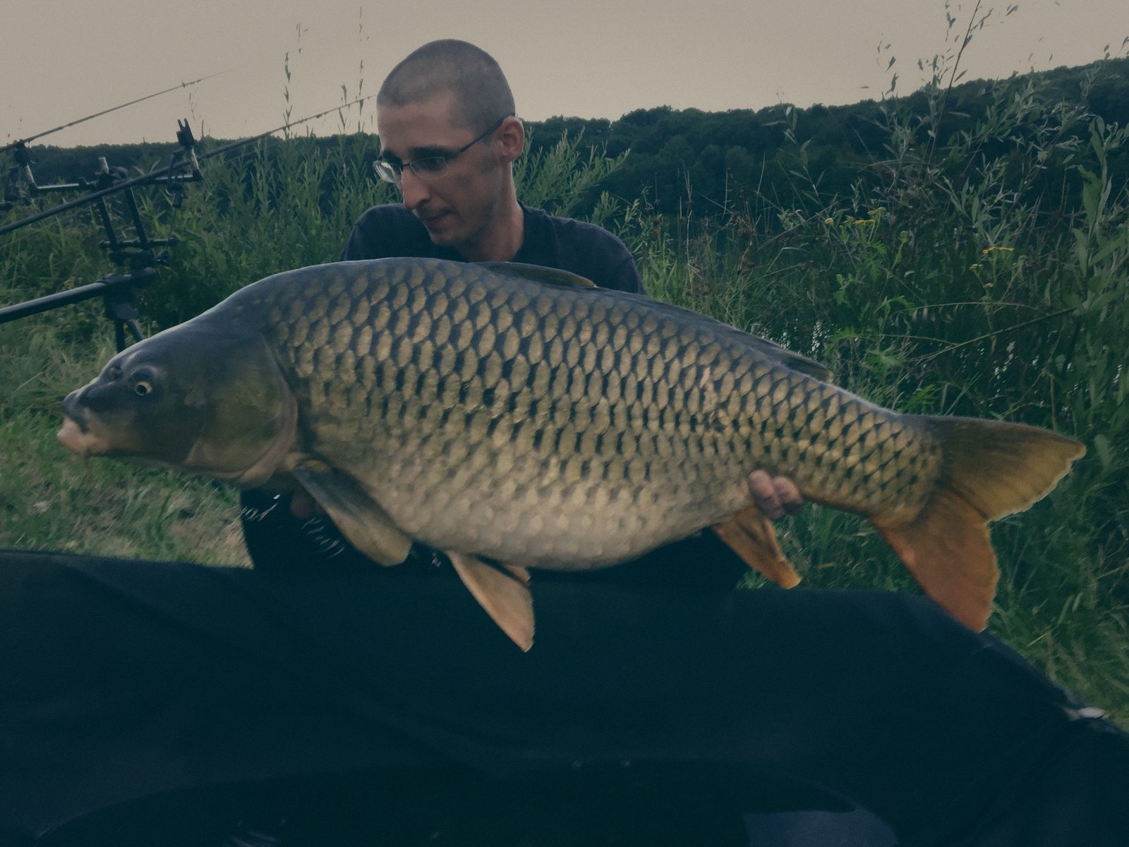 Styria Carp 2016