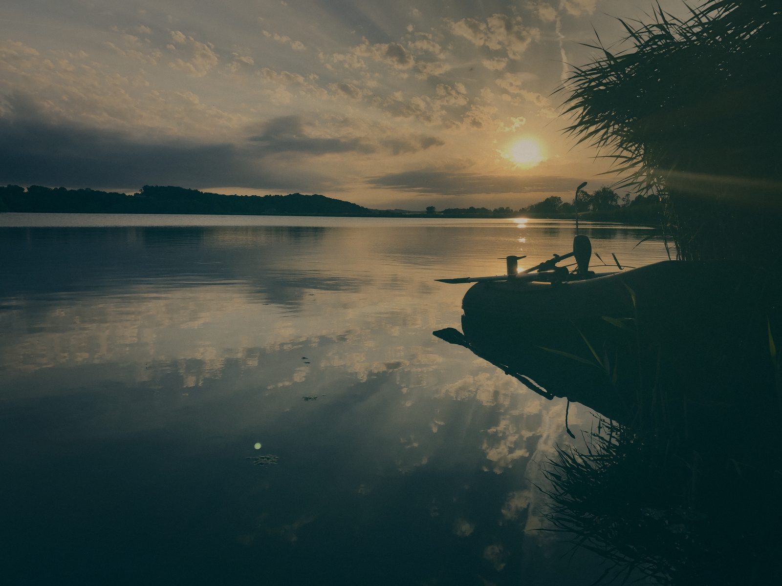 Styria Carp