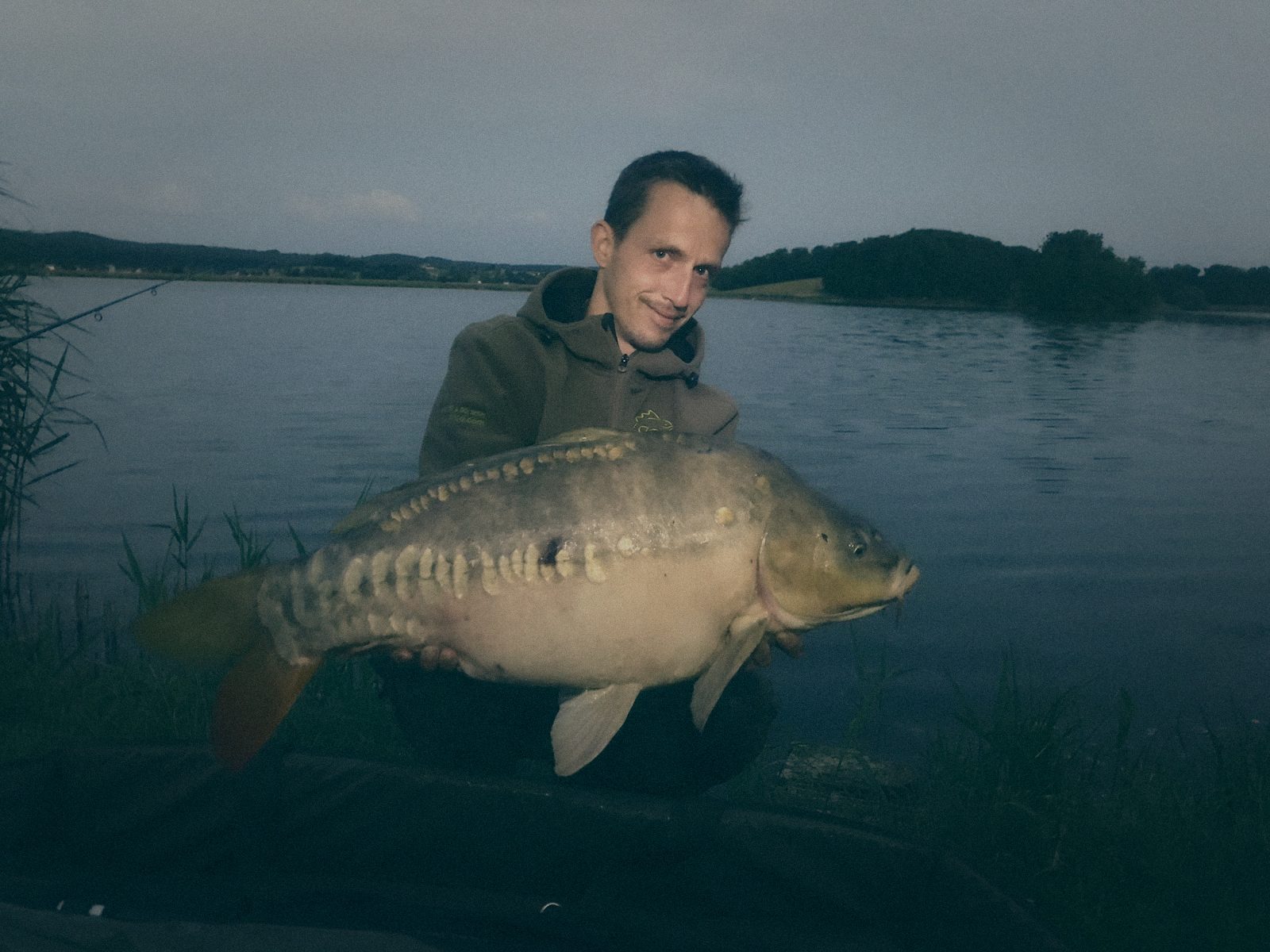 Styria Carp
