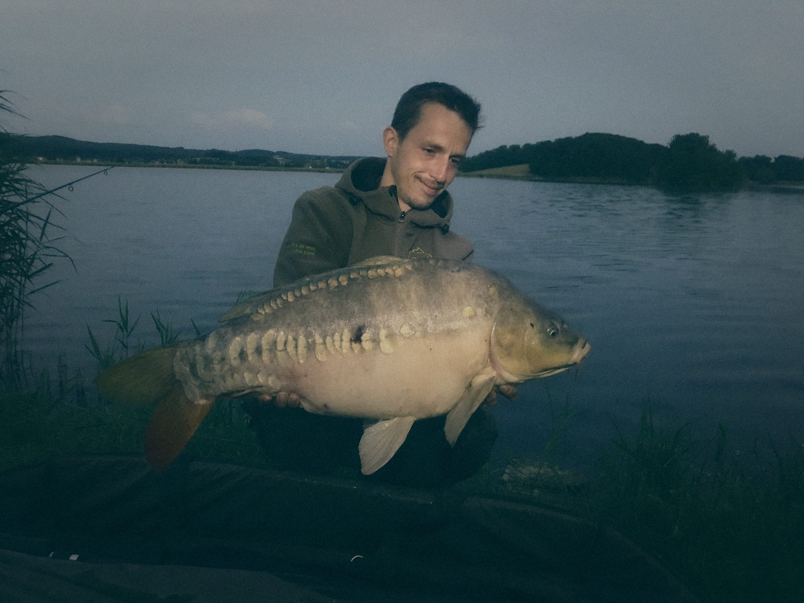 Styria Carp