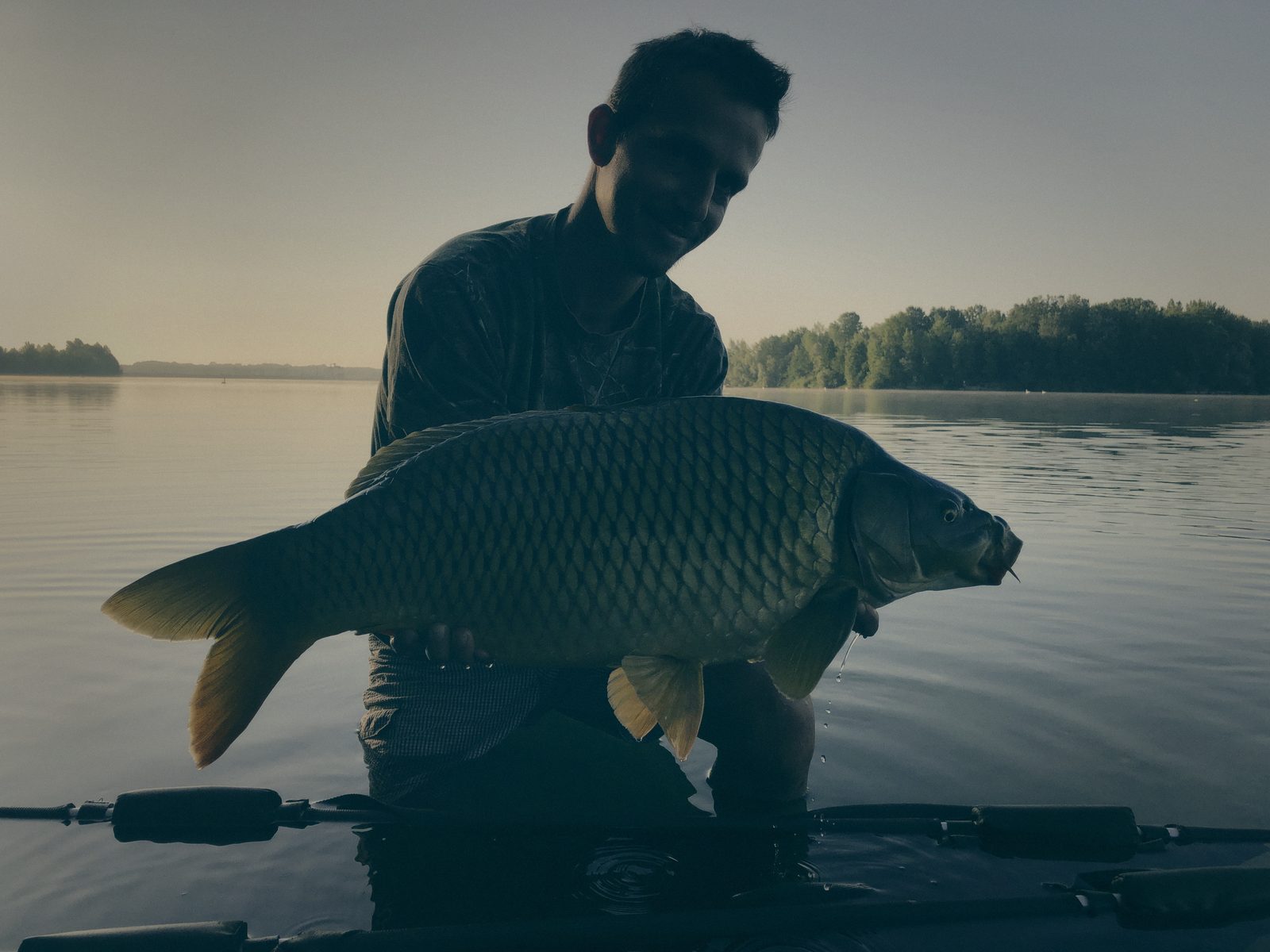 Styria Carp