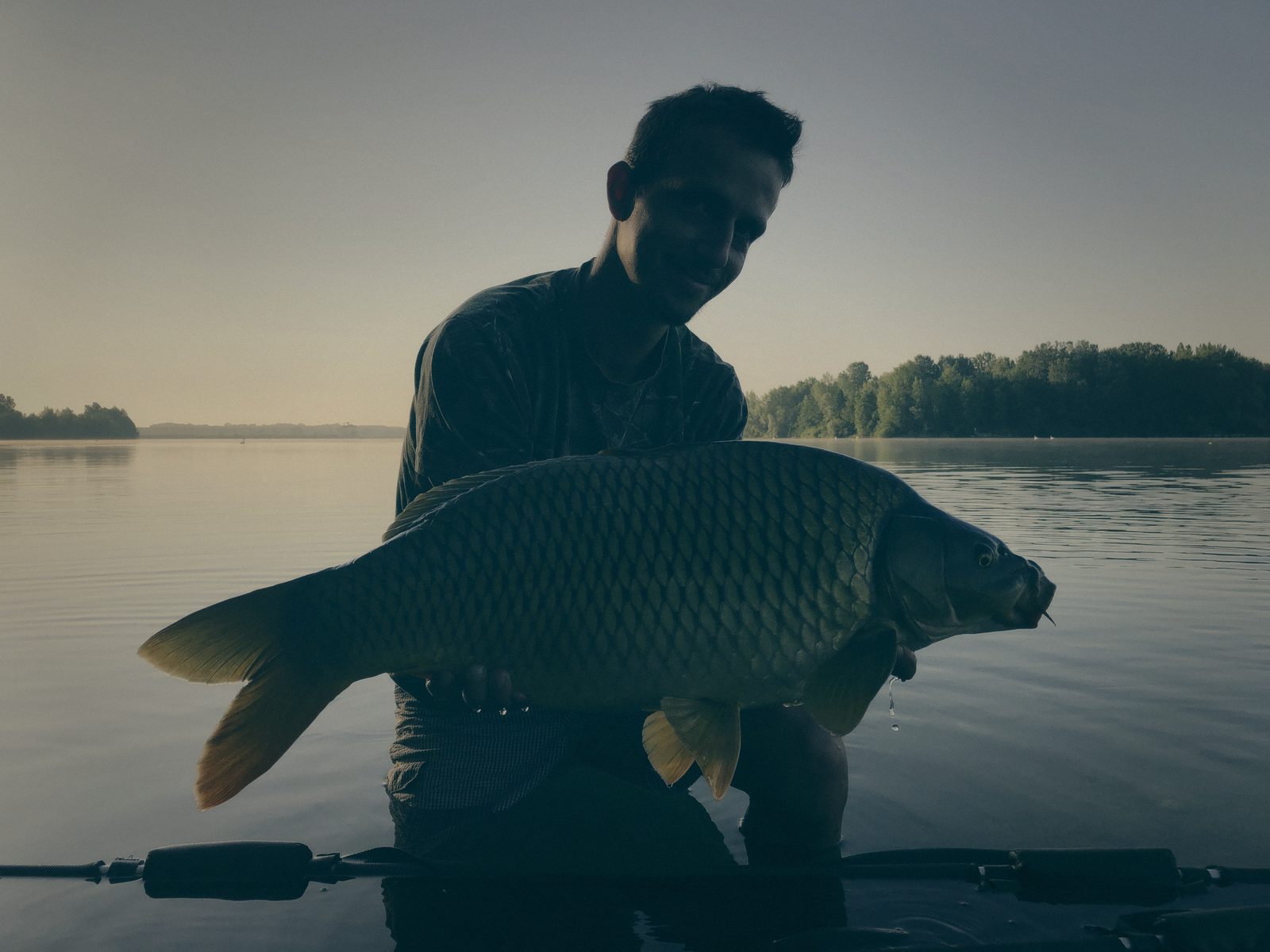 Styria Carp