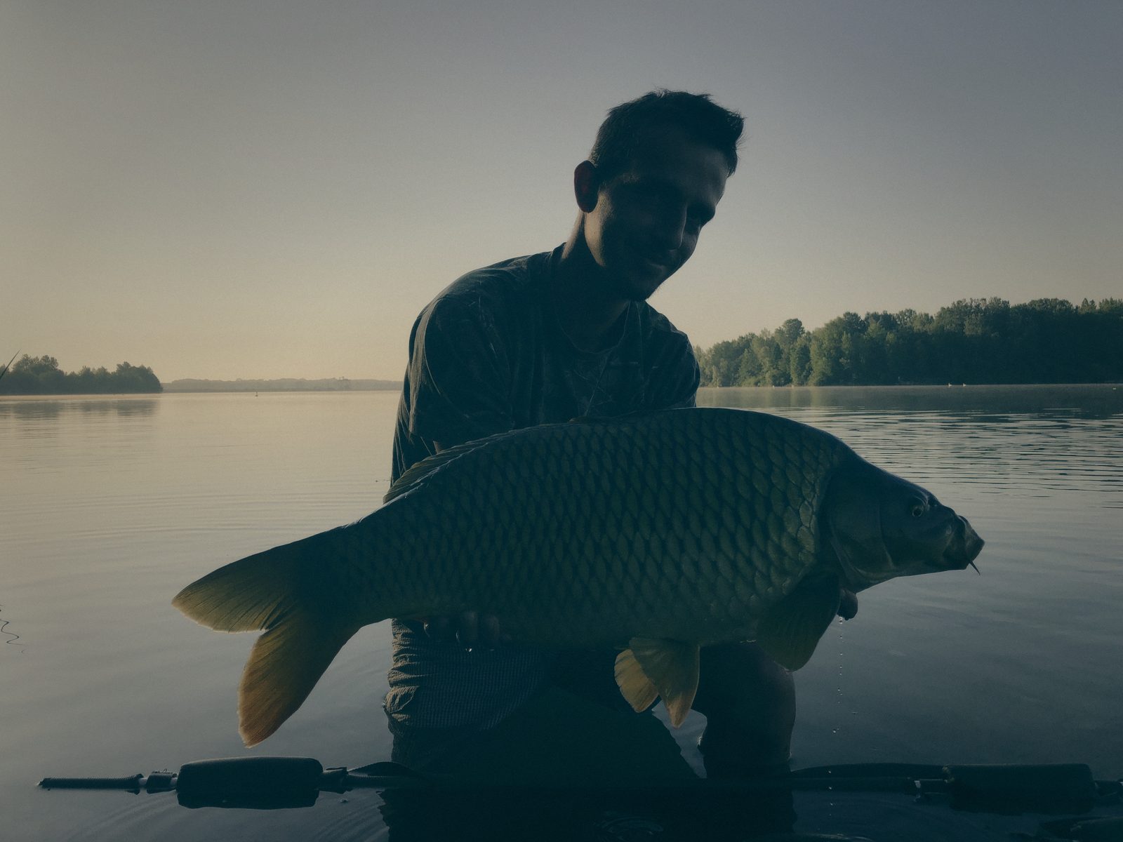 Styria Carp