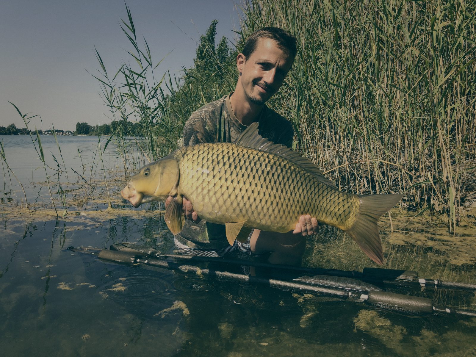 Styria Carp
