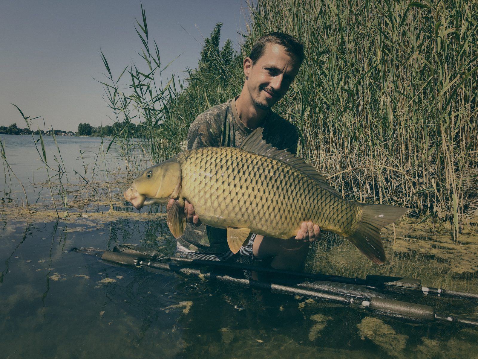 Styria Carp