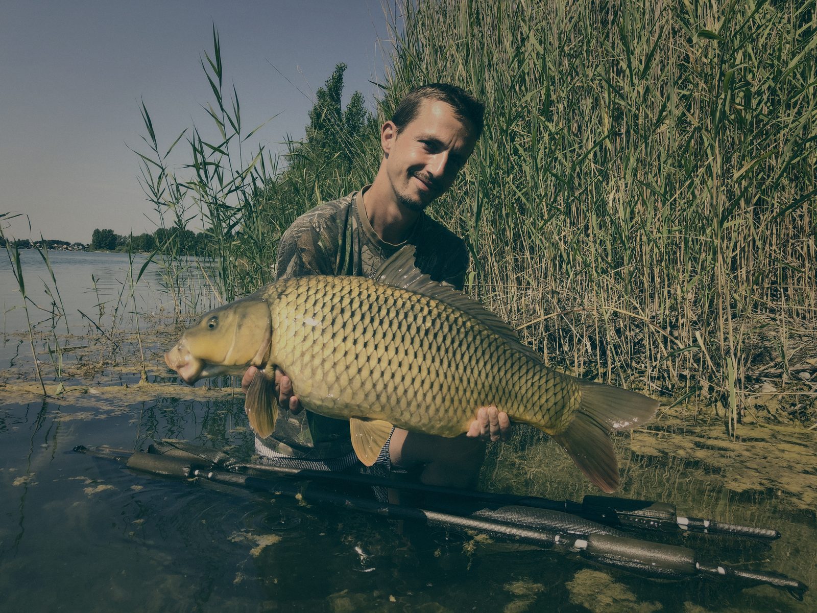 Styria Carp