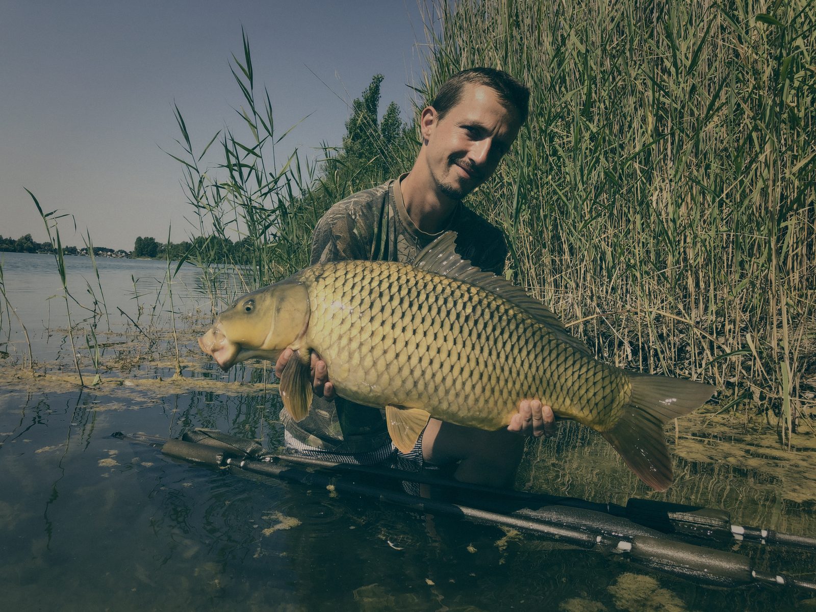 Styria Carp