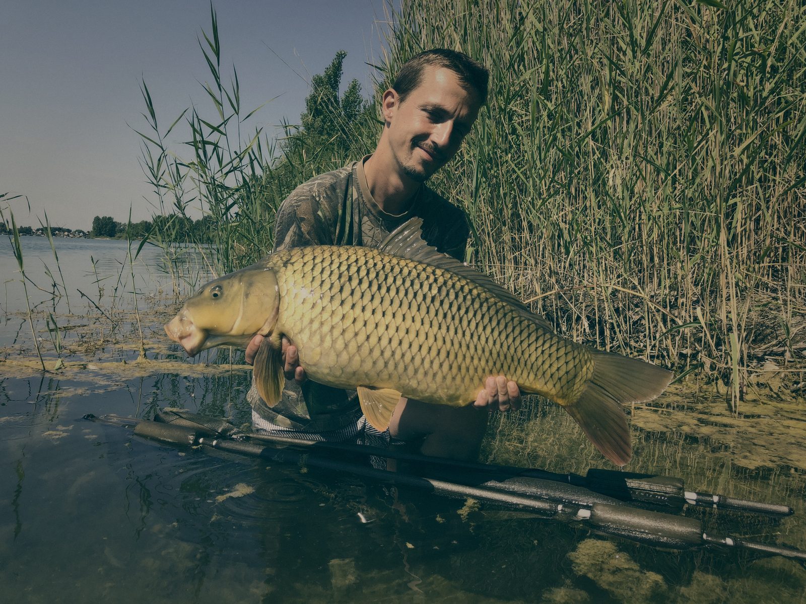 Styria Carp
