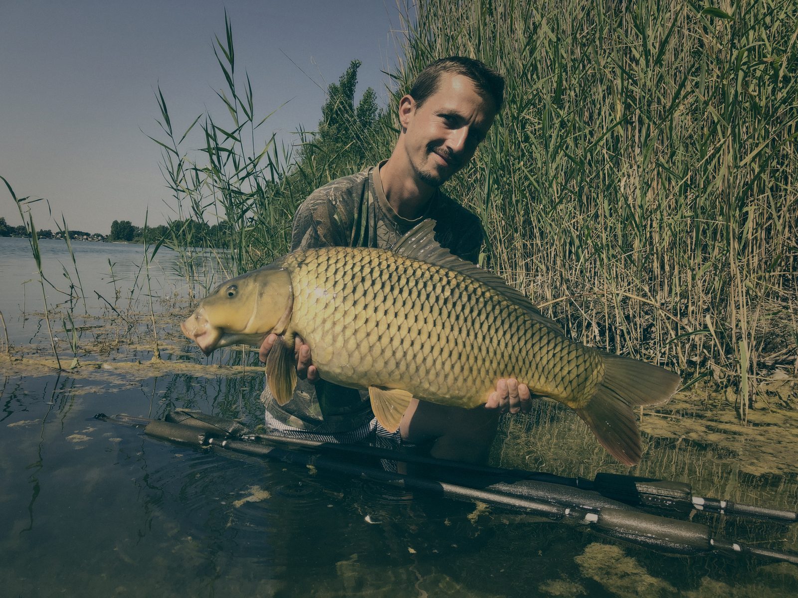 Styria Carp