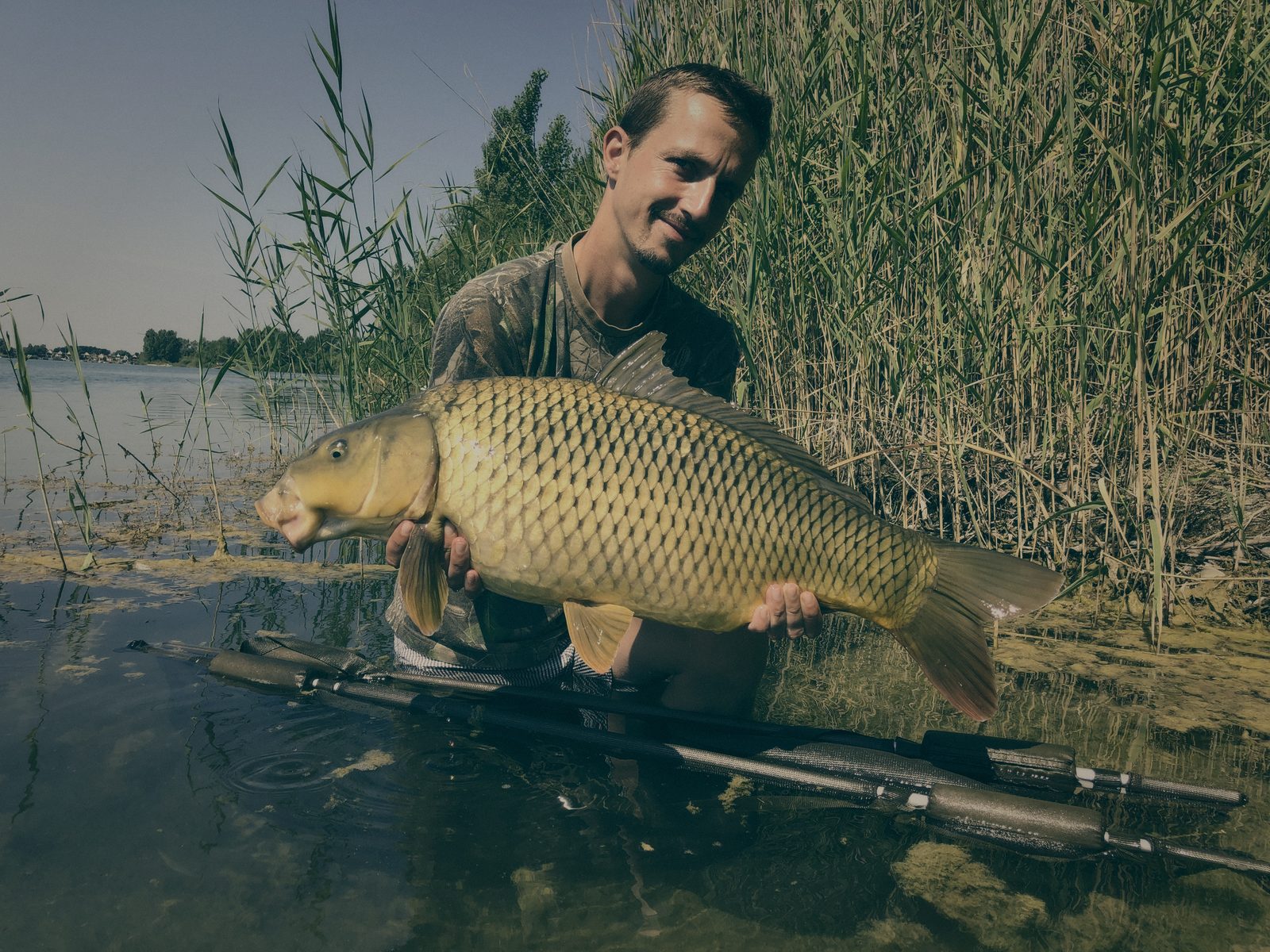 Styria Carp