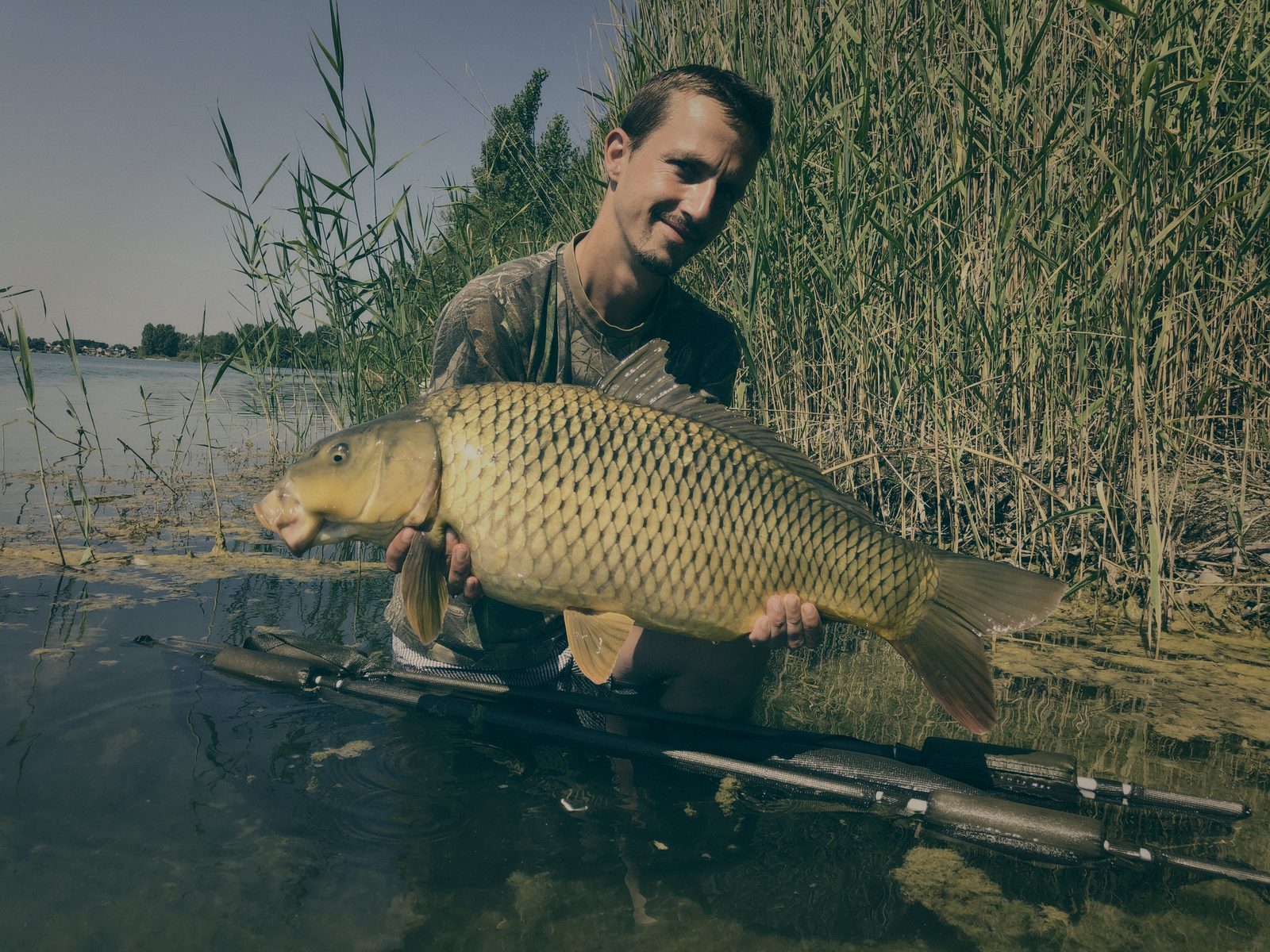 Styria Carp