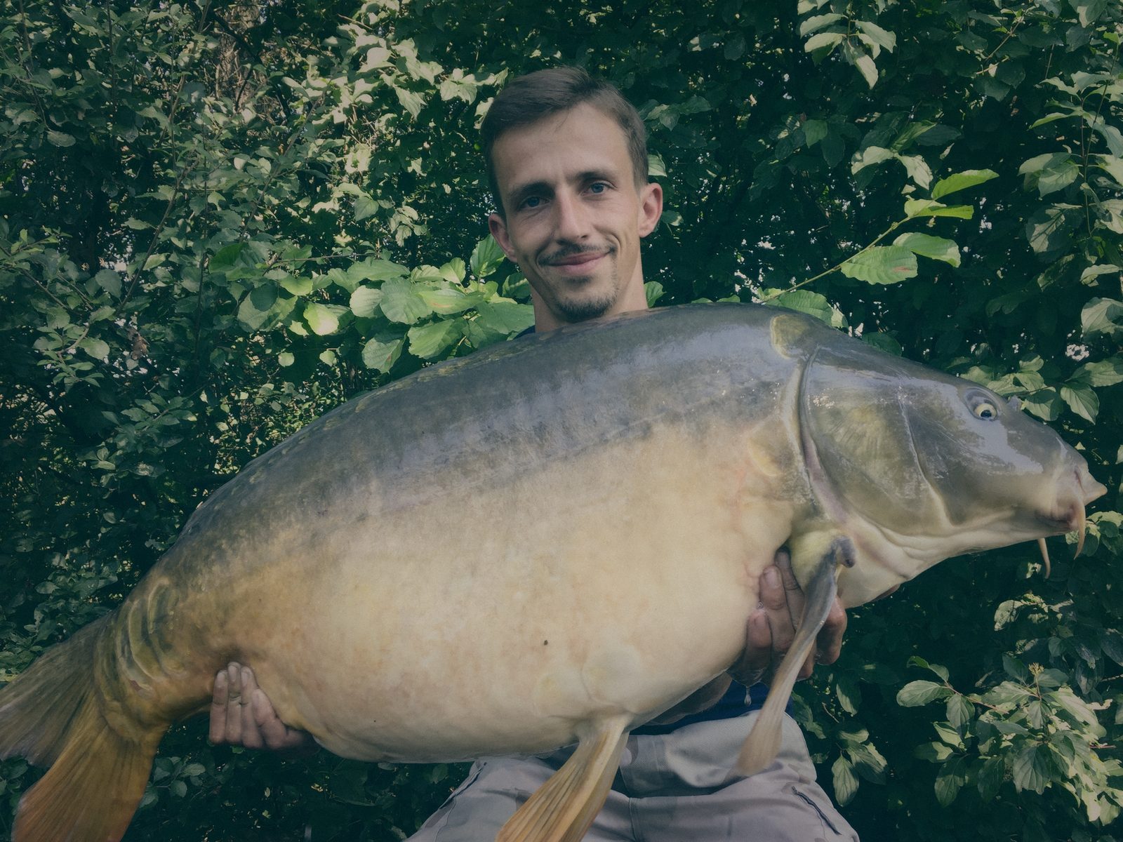 Styria Carp 2016