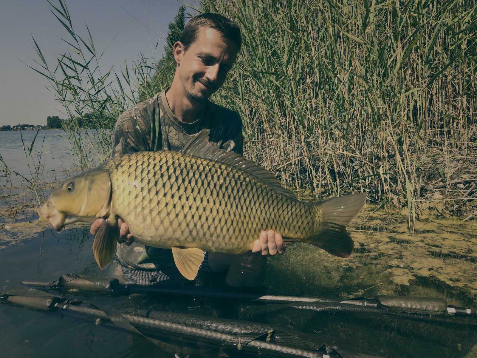 Styria Carp