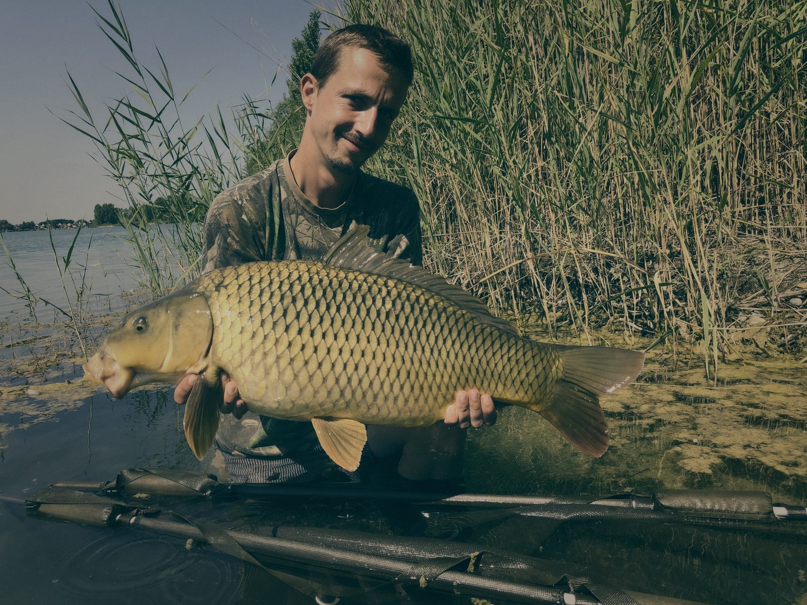 Styria Carp