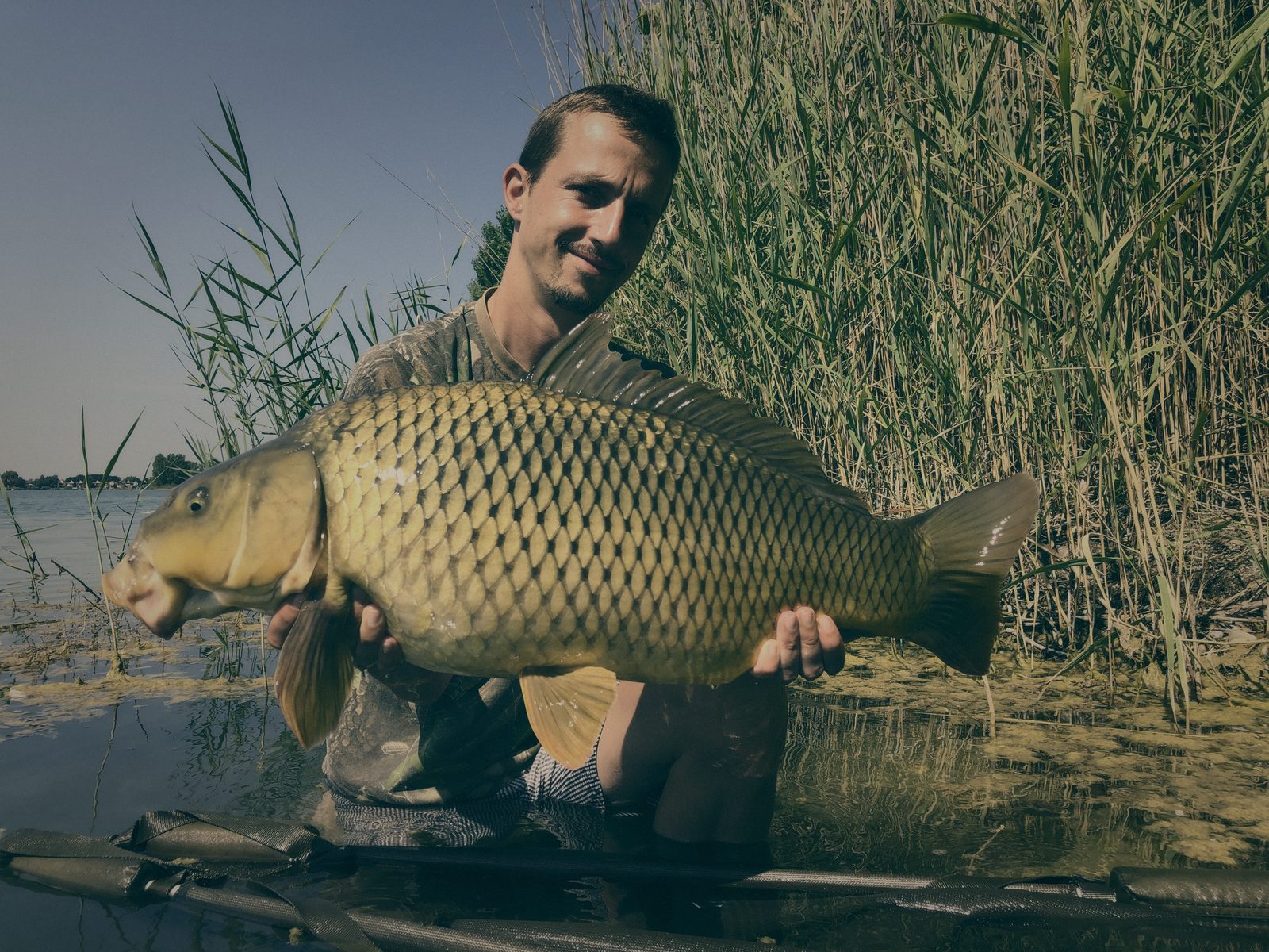 Styria Carp