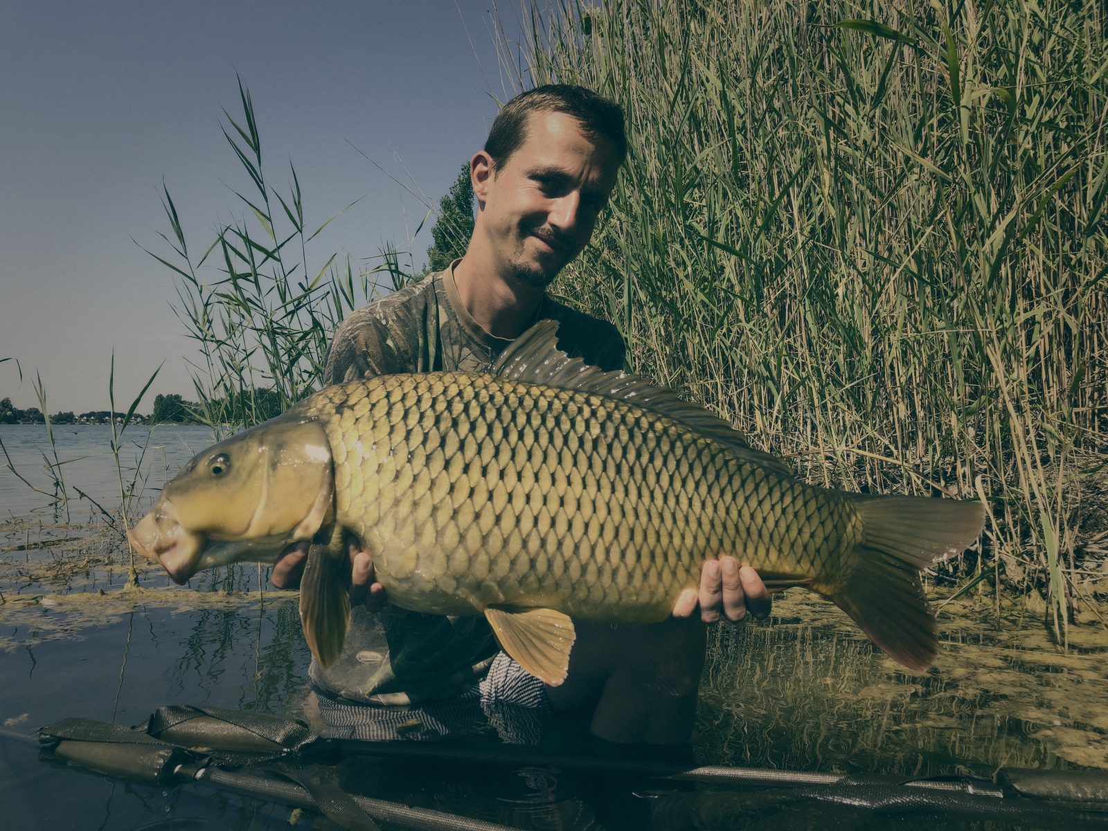 Styria Carp