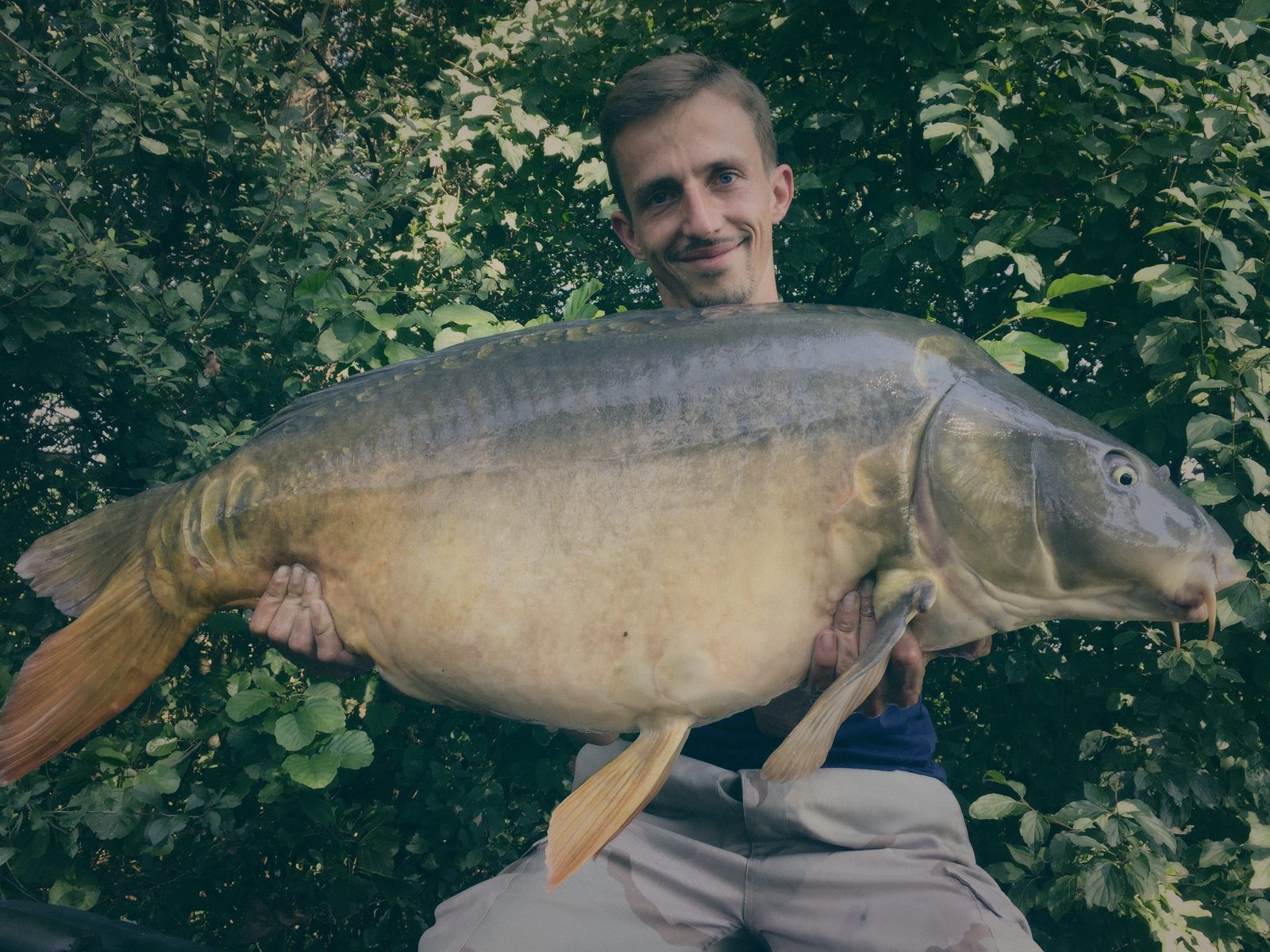 Styria Carp 2016