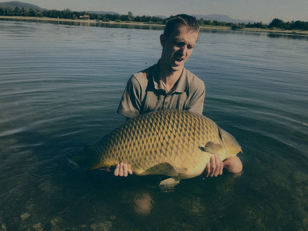 Styria Carp