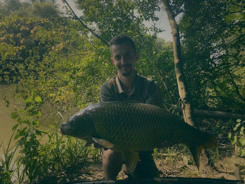 Styria Carp