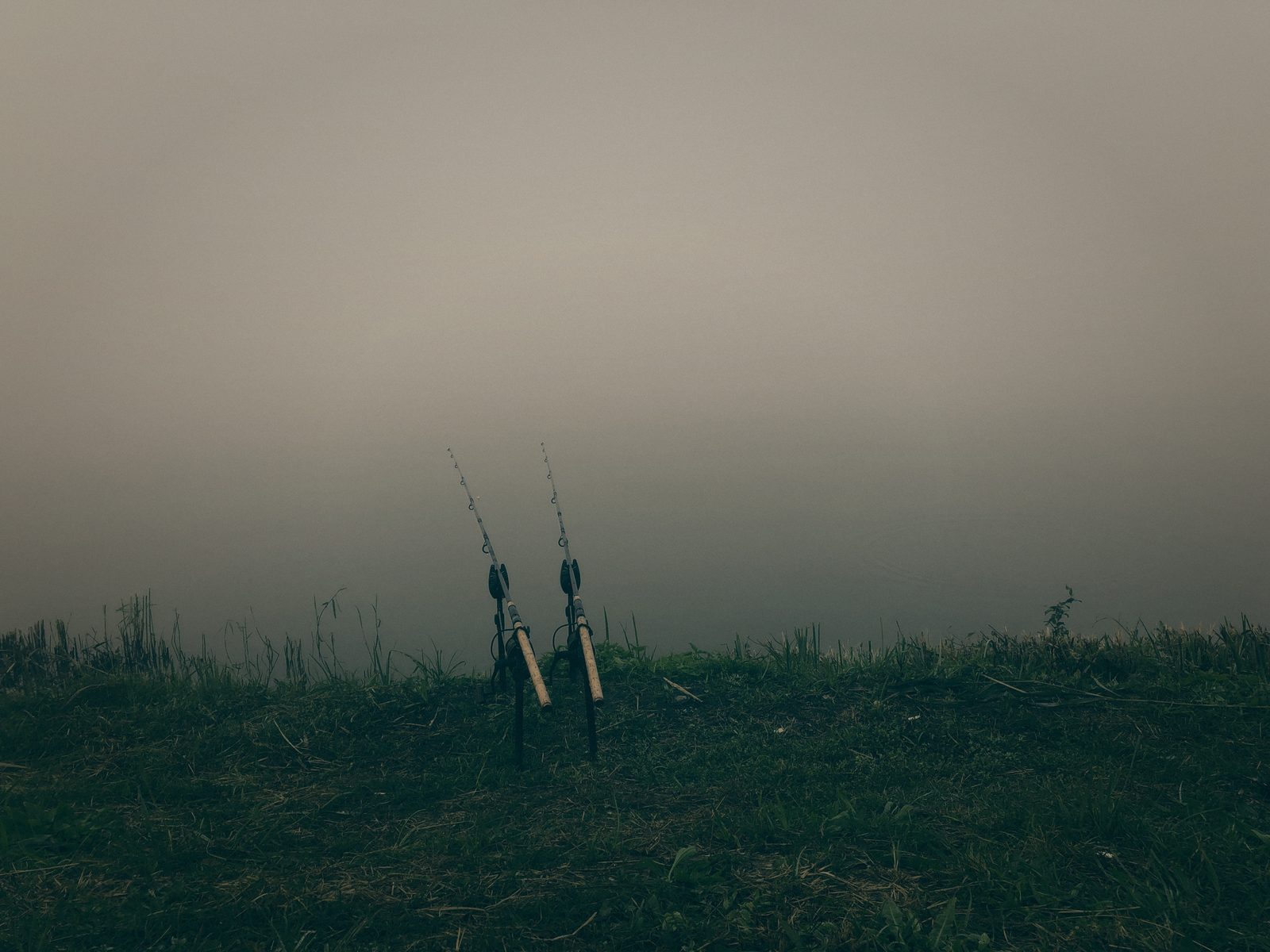Styria Carp