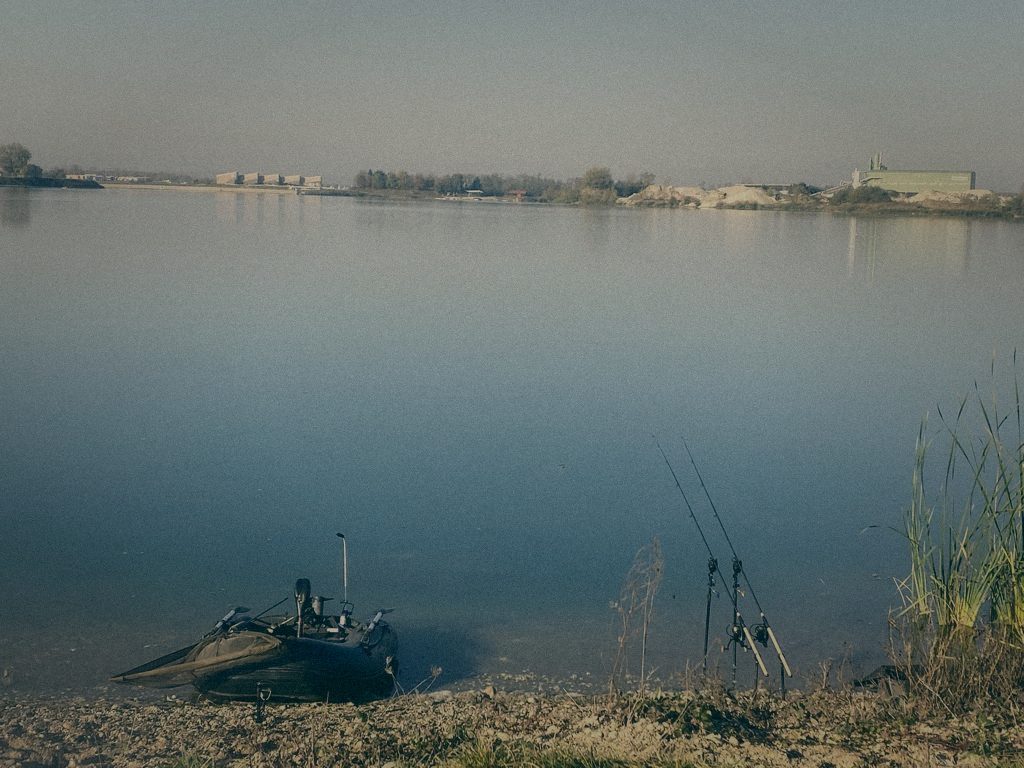 Styria Carp