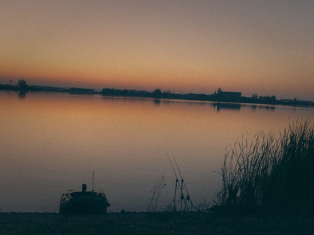 Styria Carp