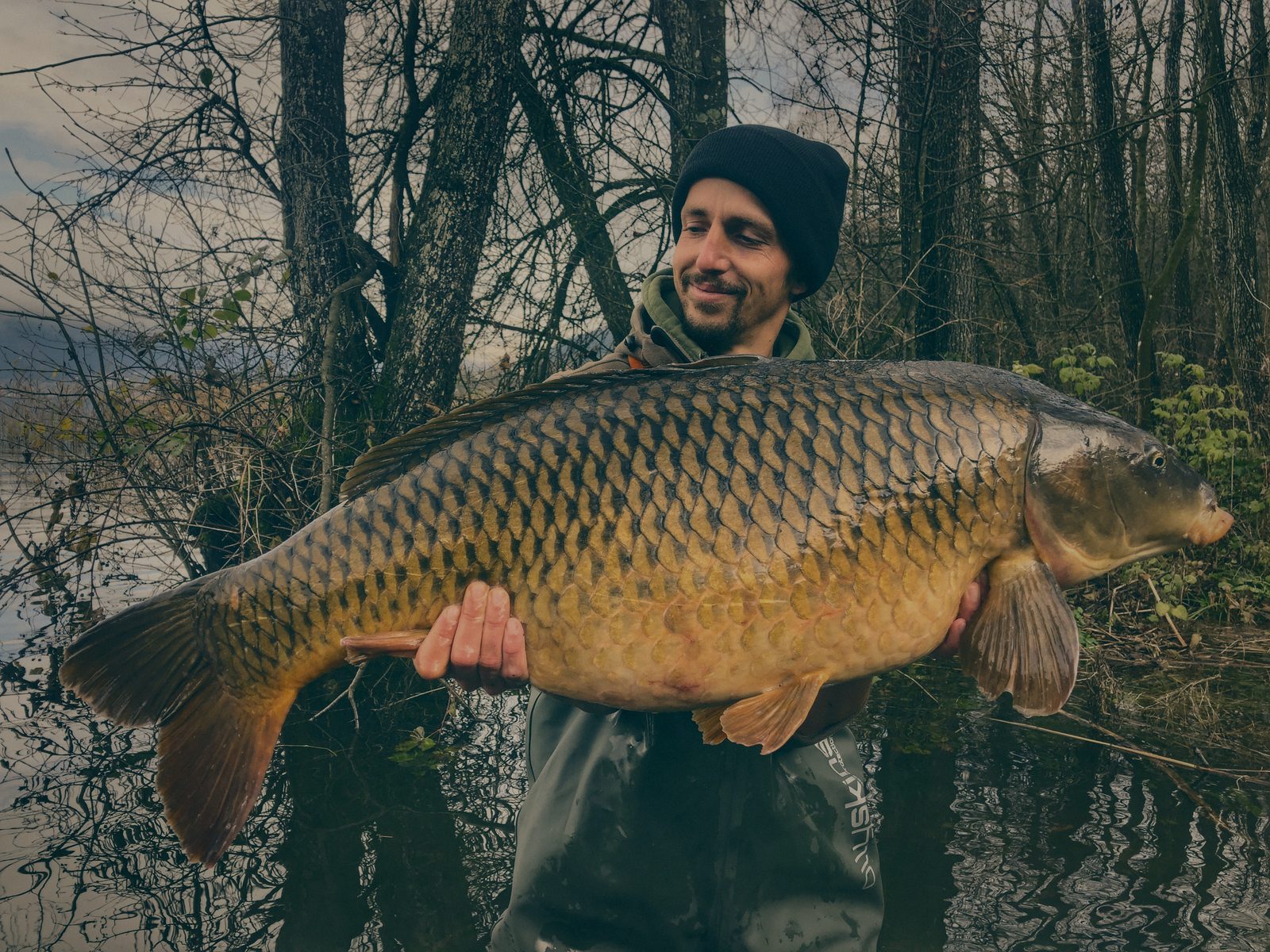Styria Carp