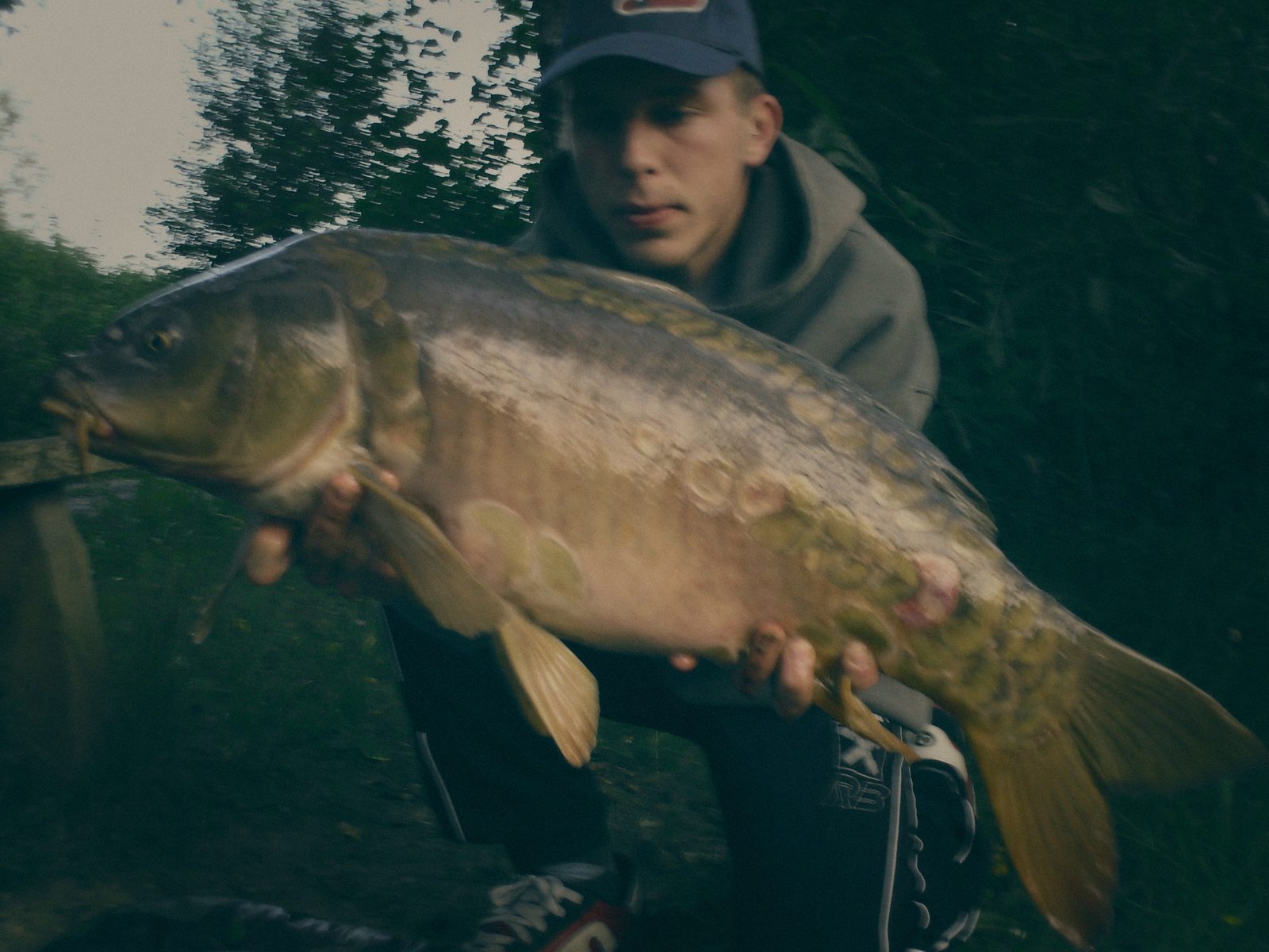 Styria Carp 2017