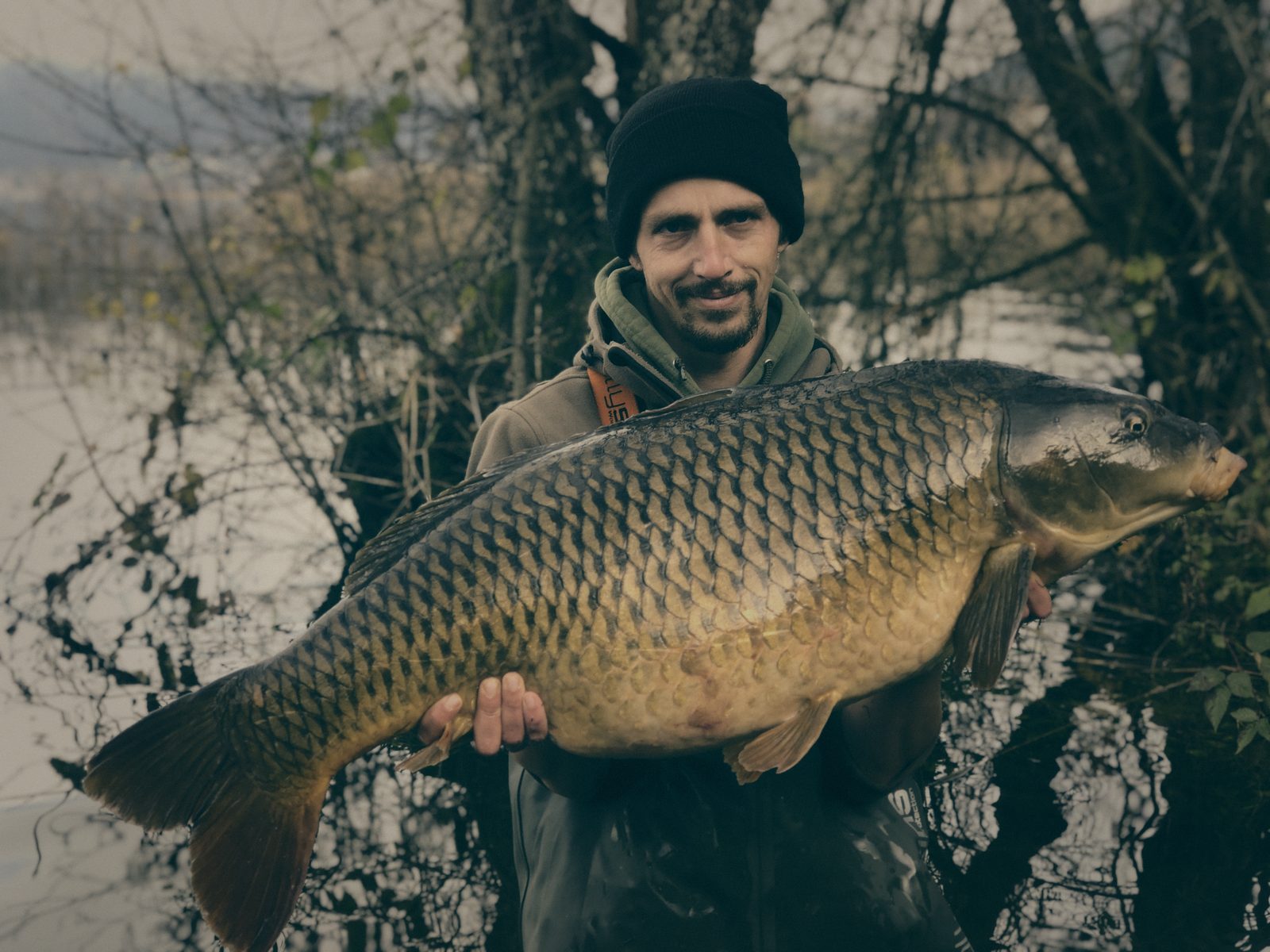 Styria Carp