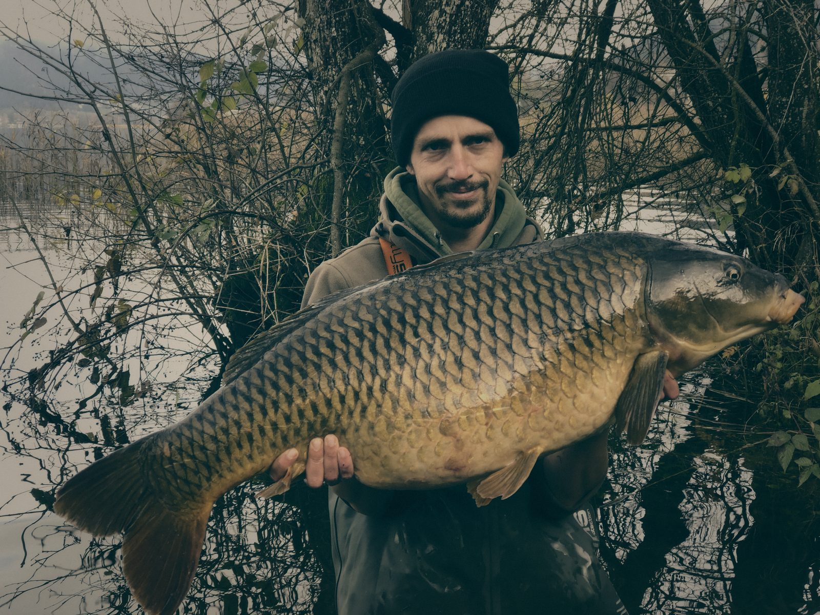 Styria Carp