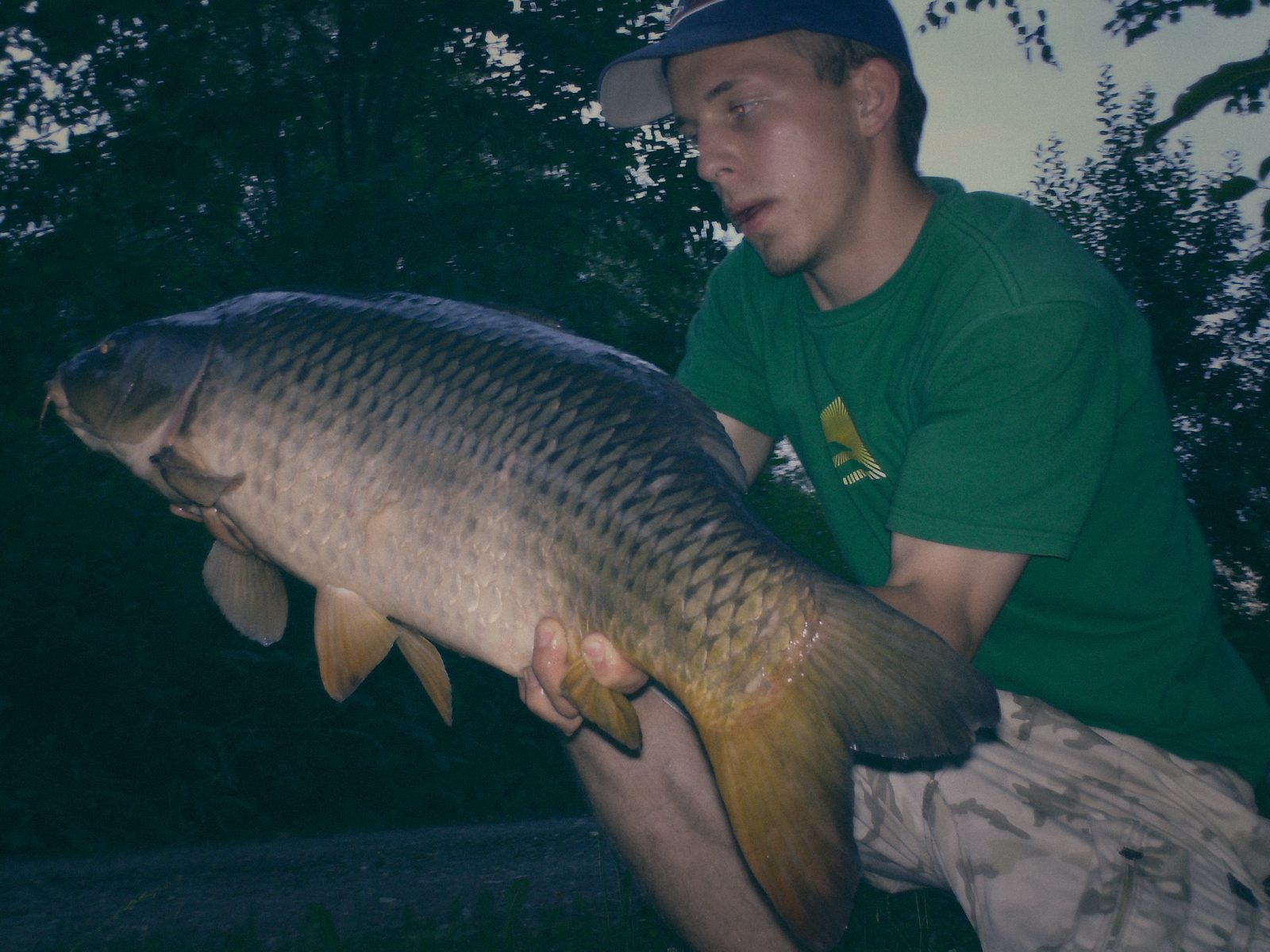 Styria Carp 2017