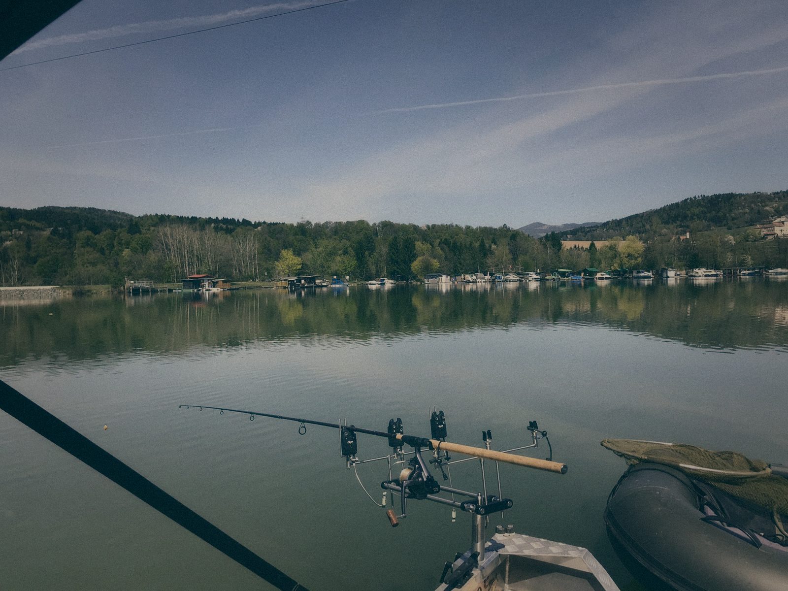 Styria Carp