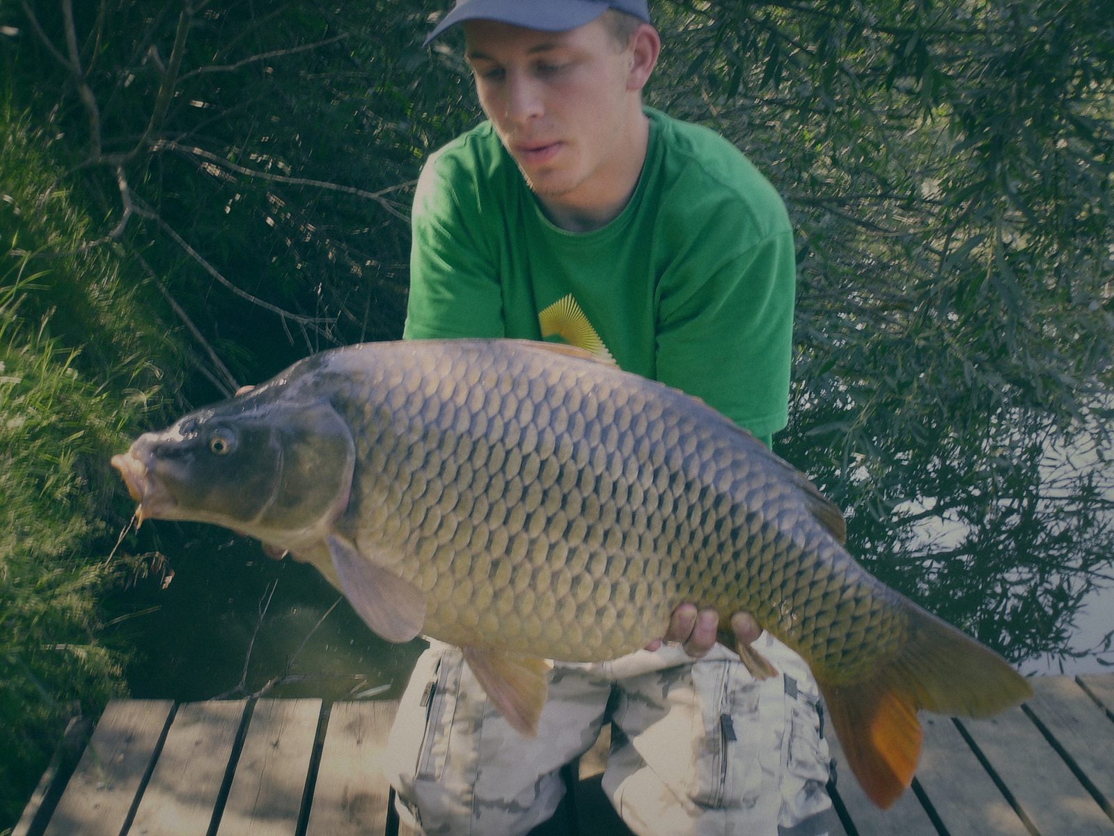 Styria Carp 2017